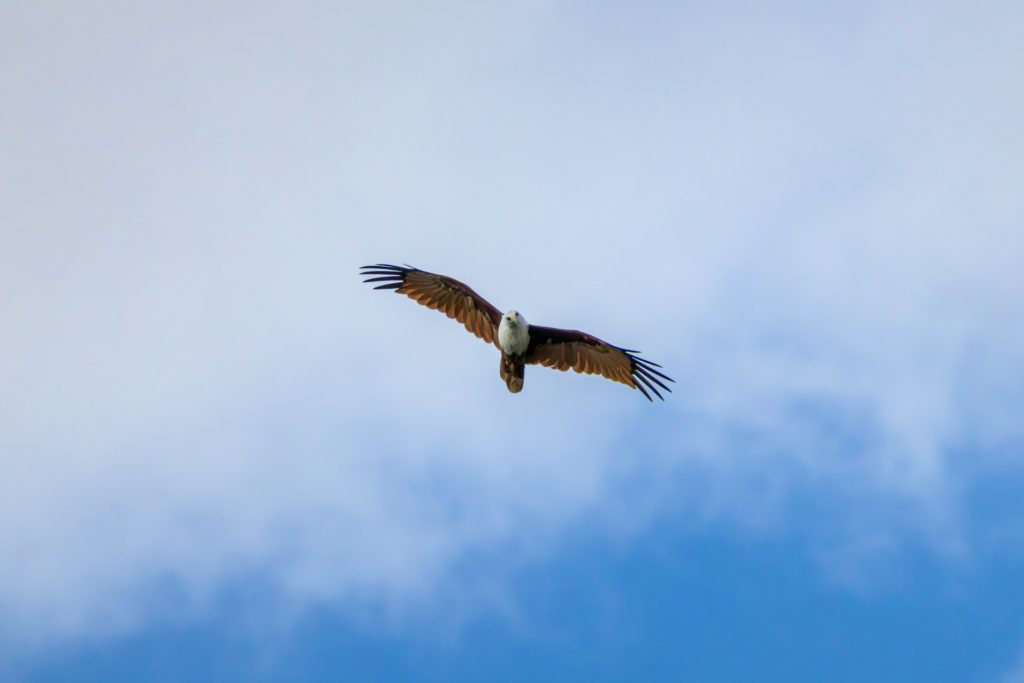 『サリンとおはぎ』「自由でいたい」と願って人生を止めていた話