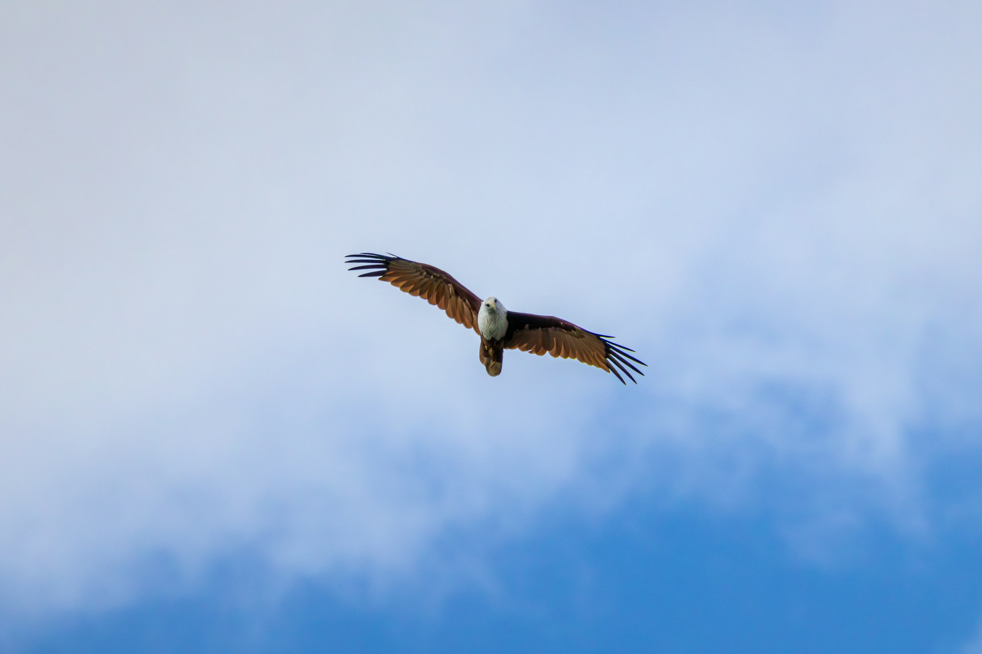 『サリンとおはぎ』「自由でいたい」と願って人生を止めていた話